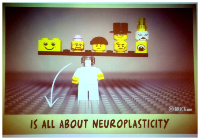 "It's all about neuroplasticity" by Jaap den Dulk is licensed under CC BY 2.0
