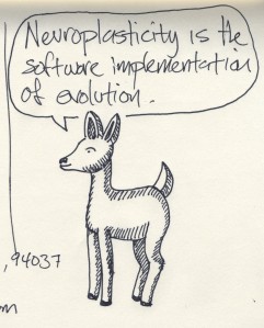 "Neuroplasticity" by gever is licensed under CC BY 2.0